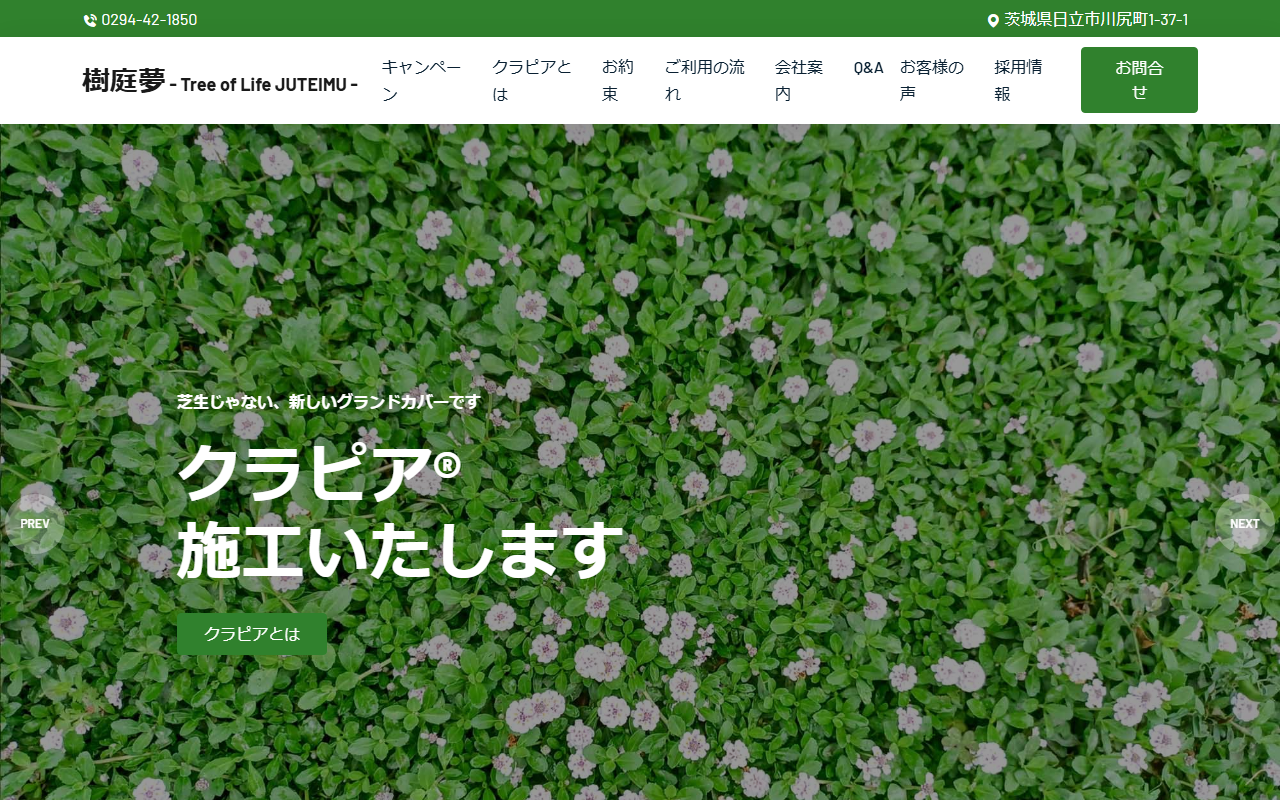 樹庭夢(じゅていむ）の公式サイトスクリーンショット