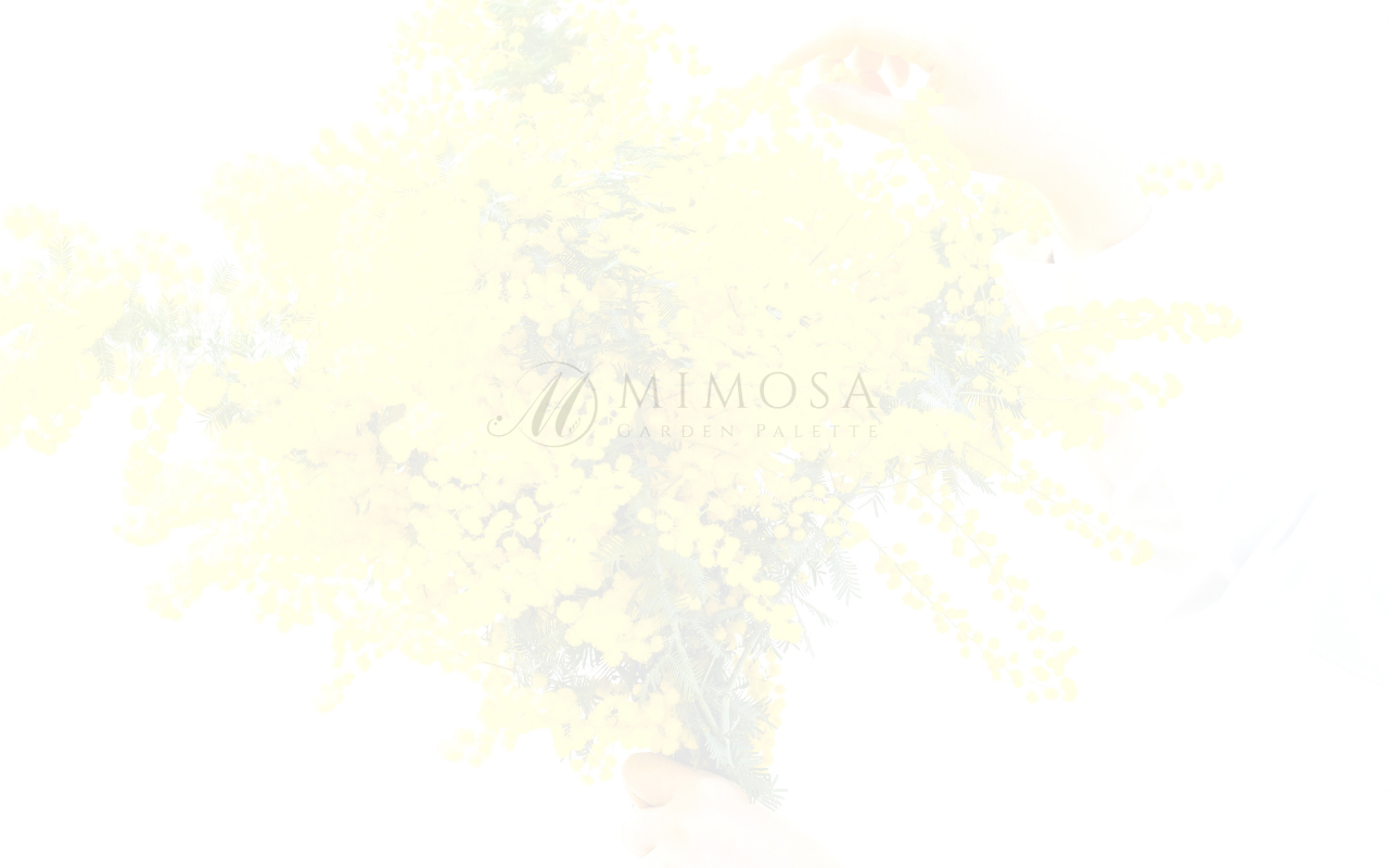 ミモザガーデン（mimosa garden）の公式サイトスクリーンショット